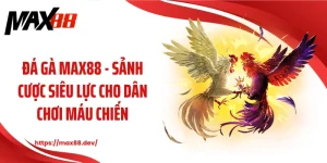 Đá gà MAX88