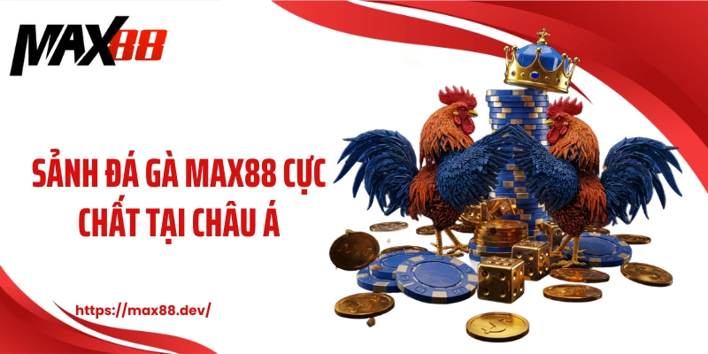 Sảnh đá gà MAX88 cực chất tại châu Á